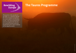 The Tauros Programme