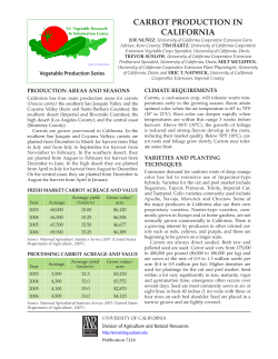 Carrot Production in California