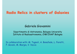 Radio Relics in clusters of Galaxies