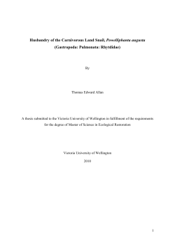 Husbandry of the Carnivorous Land Snail, Powelliphanta augusta