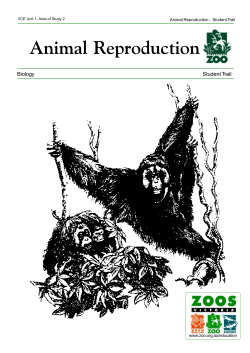 Animal Reproduction