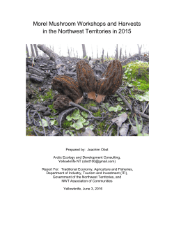 Morel Mushroom Workshops and Harvests in the Northwest