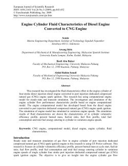 Engine Cylinder Fluid Characteristics of Diesel Engine Converted to