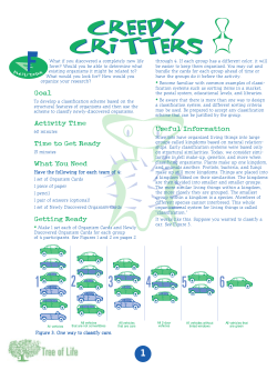 Creepy Critters Creepy Critters