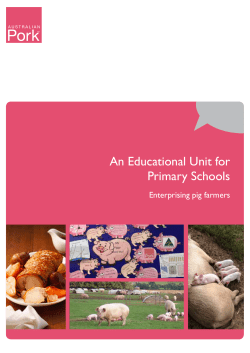 Primary Unit - Australian Pork