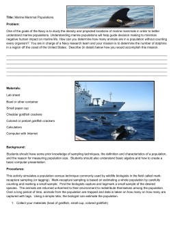 Activity 4 Worksheet