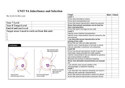 UNIT 9K Speeding Up - South Wirral High School