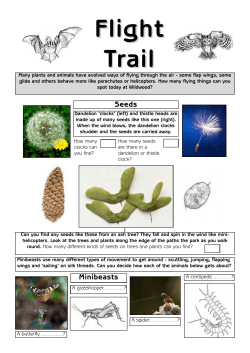 Flight Trail - Wildwood Trust