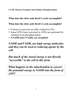 NADH and FADH2 are high energy molecules and they can be used