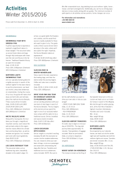 Activities - Ice Hotel