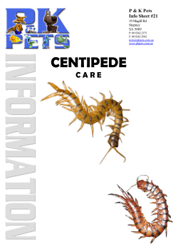 Info Sheet 21 - Centipedes