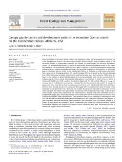 Canopy gap dynamics and development patterns in