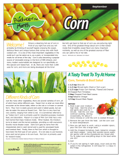 Corn - Port Angeles School District