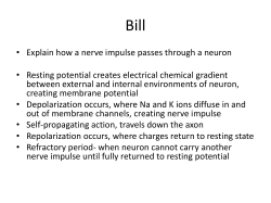 Topic 6.5 Endocrine System - IB BiologyMr. Van Roekel Salem High