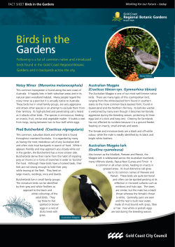 Birds in the Gardens factsheet