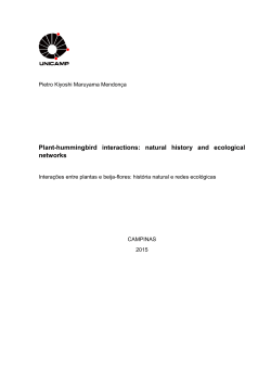 Plant-hummingbird interactions: natural history and