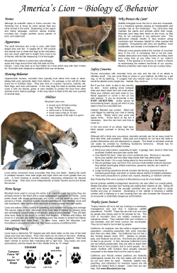 CA poster - Mountain Lion Foundation