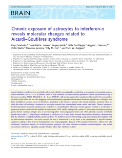 Chronic exposure of astrocytes to interferon