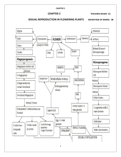 sexual reproduction in flowering plants