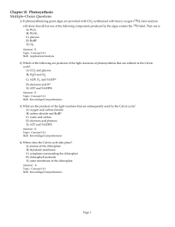 Chapter 10 Photosynthesis Multiple