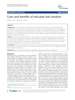 Costs and benefits of reticulate leaf venation | BMC Plant Biology