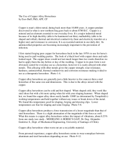 The Use of Copper Alloy Horseshoes by Esco Buff, PhD, APF, CF