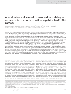 Arterialization and anomalous vein wall remodeling in