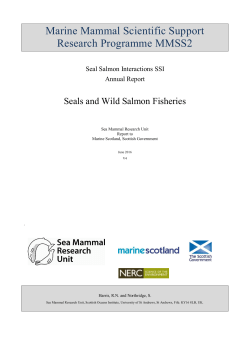 Marine Mammal Scientific Support Research Programme MMSS2