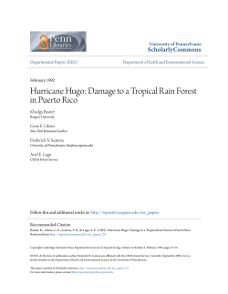 Hurricane Hugo: Damage to a Tropical Rain Forest in Puerto Rico
