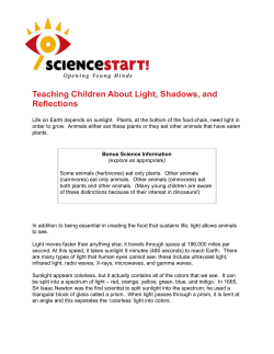 Teaching Children About Light, Shadows, and