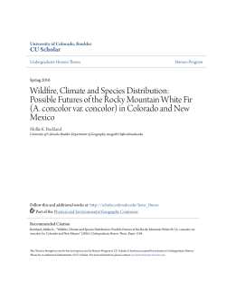 Possible Futures of the Rocky Mountain White Fir