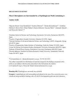 Moss Chloroplasts are Surrounded by a