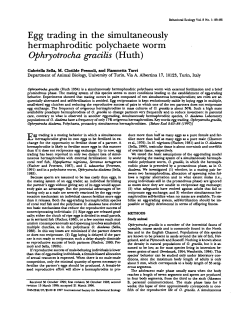 Egg trading in the simultaneously hermaphroditic polychaete worm
