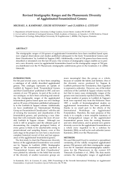 Revised Stratigraphic Ranges and the Phanerozoic Diversity