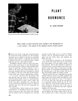 Plant Hormones