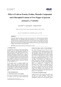 Effect of Cold on Protein, Proline, Phenolic Compounds
