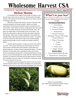 Newsletter Week 11: August 26th/28th