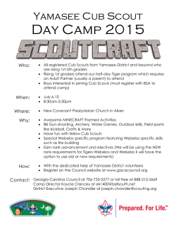 2015 Yamasee Cub Day Camp Flier