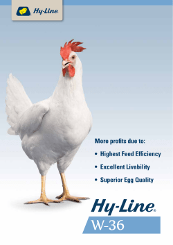 Performance Summary - Hy