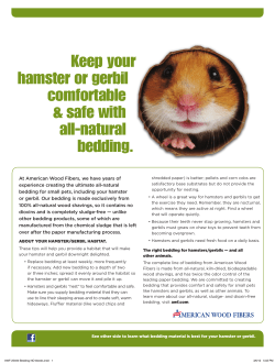 Hamsters and Gerbils - American Wood Fibers