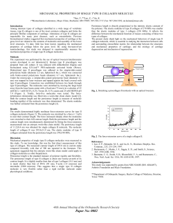 mechanical properties of single type ii collagen molecule