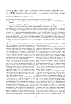 First Report of a Sea Louse, Lepeophtheirus