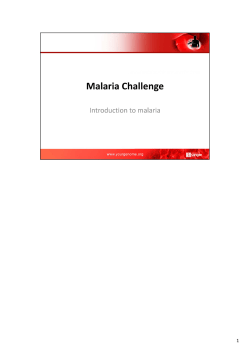 Malaria challenge presentation notes(, 2.3 MB)