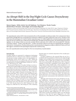 An Abrupt Shift in the Day/Night Cycle Causes