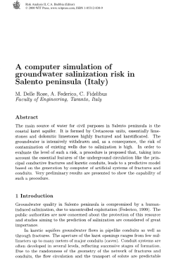 A computer simulation of groundwater salinization risk in