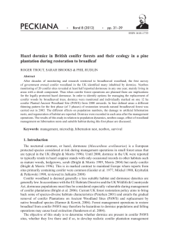 Hazel dormice in British conifer forests and their ecology in a pine