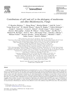 Contributions of rpb2 and tef1 to the phylogeny of