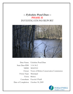 Fyfeshire Pond Dam