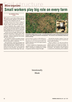 Soil structure - Farming Ahead