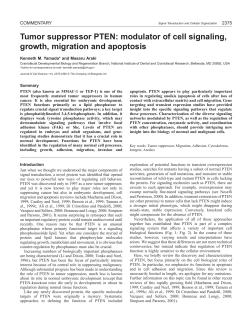 PTEN: a multifunctional tumor suppressor